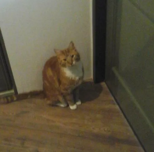 Devijfbees Alojamento de Acomodação e Pequeno-almoço 4*